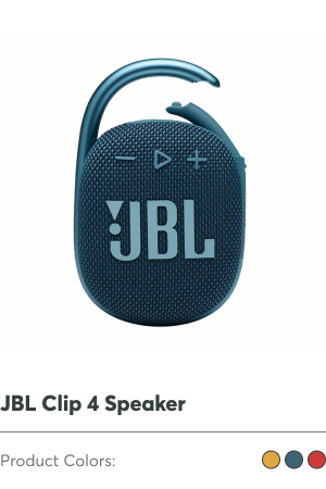 Custom JBL Clip Speaker